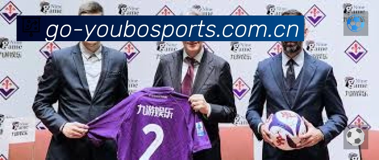 结构优化认证展示